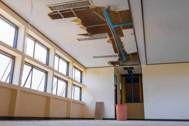 Best Water damage cleanup near me  in Collegedale, TN