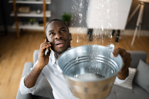 Best Basement water damage restoration  in Collegedale, TN
