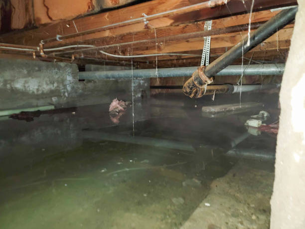 Carpet water damage restoration in TN