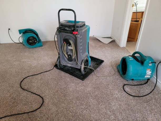Best Professional water damage repair  in Collegedale, TN