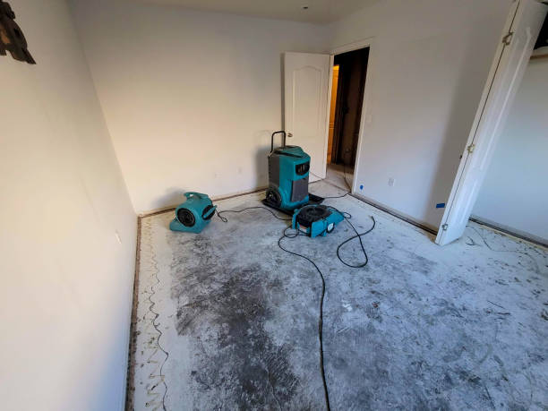 Best Emergency water damage restoration  in Collegedale, TN