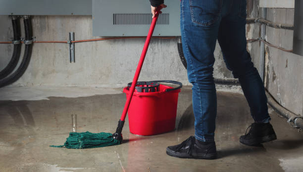 Best Carpet water damage restoration  in Collegedale, TN