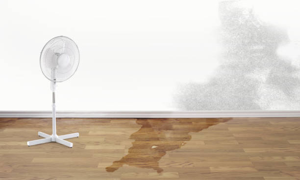 Best Emergency water damage restoration  in Collegedale, TN