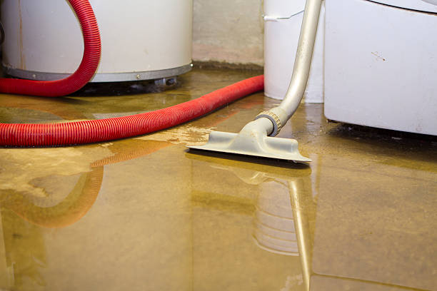 Best Carpet water damage restoration  in Collegedale, TN