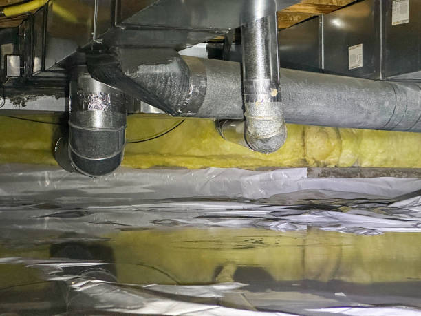 Best Ceiling water damage repair  in Collegedale, TN