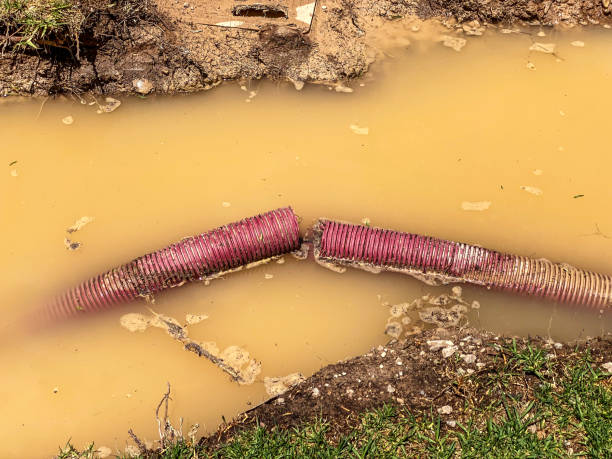 Best Local water damage restoration  in Collegedale, TN