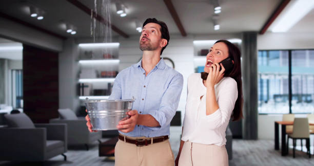 Best Flood damage cleanup  in Collegedale, TN