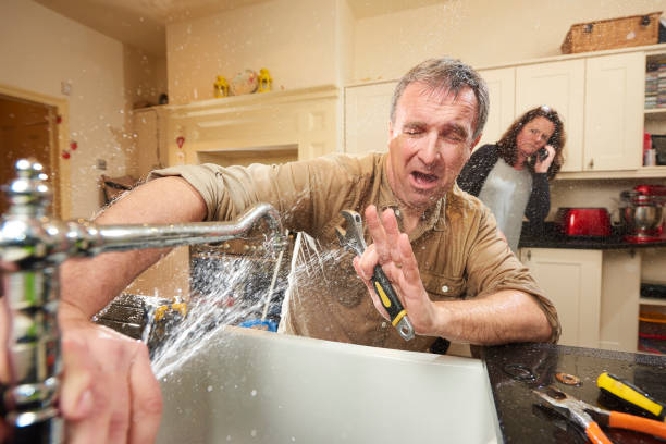 Best Water damage restoration near me  in Collegedale, TN